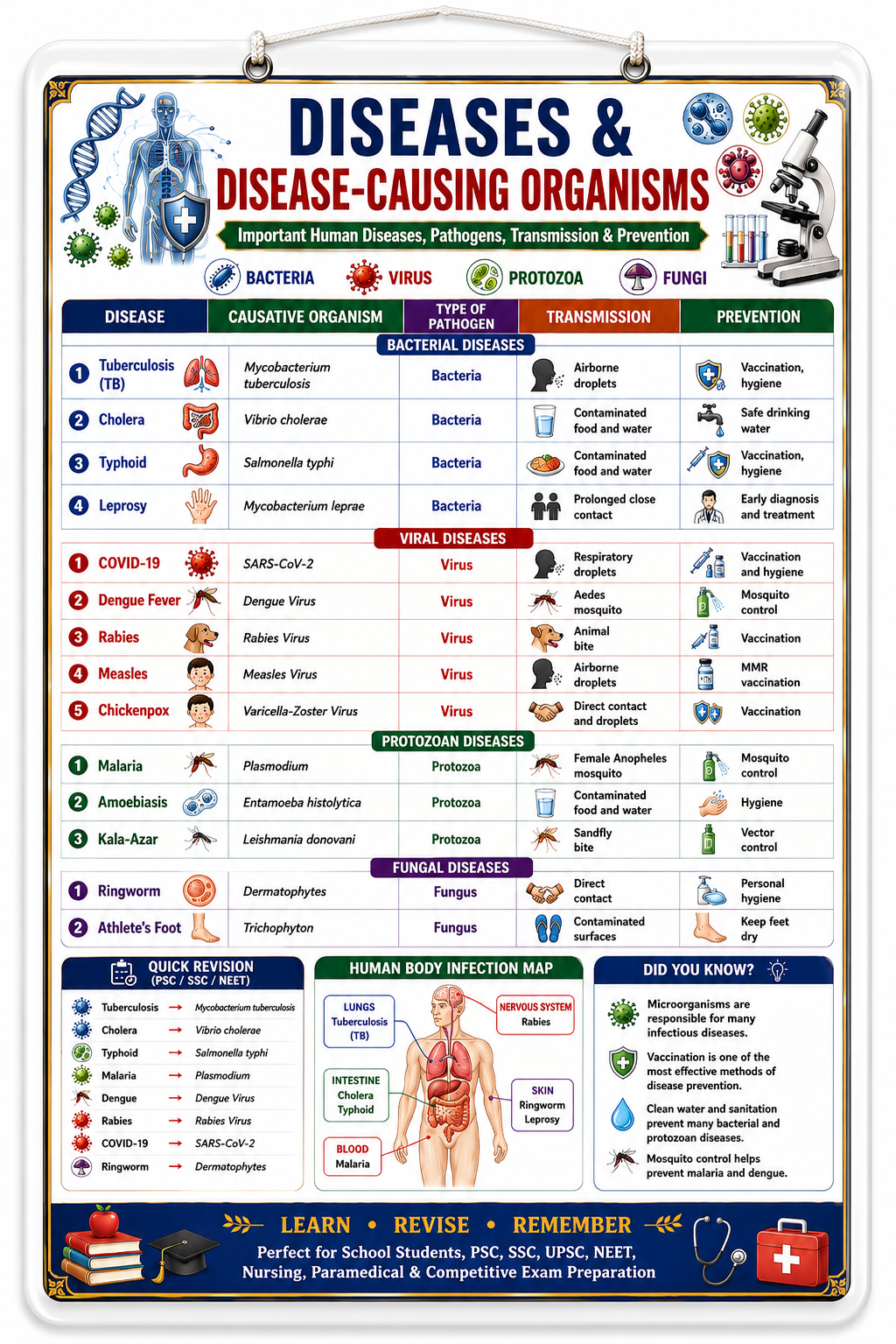 Diseases & Disease-Causing Organisms Educational Poster (A4 Size Laminated)